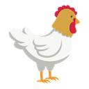ChickenFacts